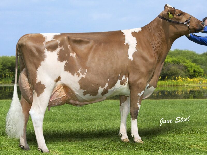 Reserve, Knowe Barby 2