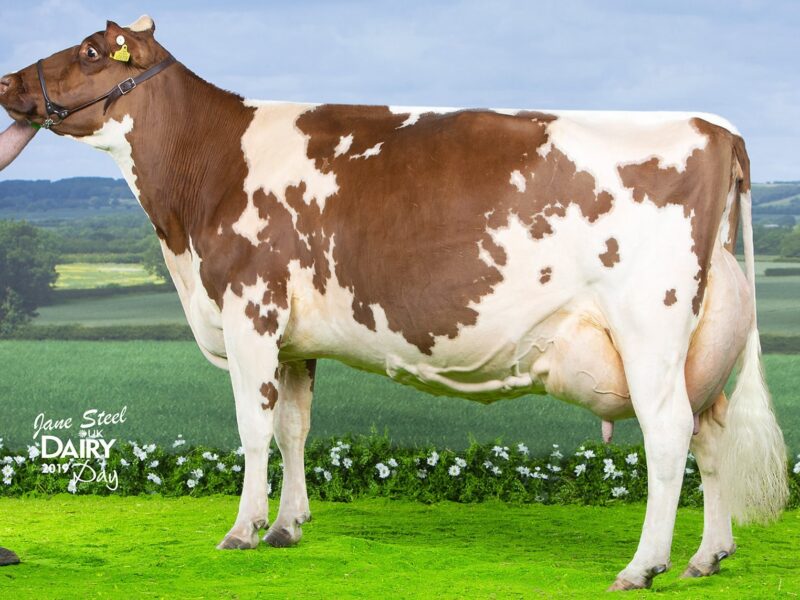 Reserve, G7 Harperfield Sandy Rose