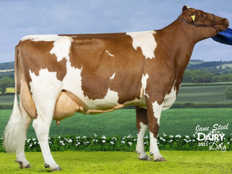 Jamara Nickle Gladys as a 4th calver