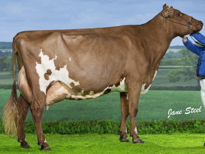 Honourable Mention - Threemile Pretty Rock