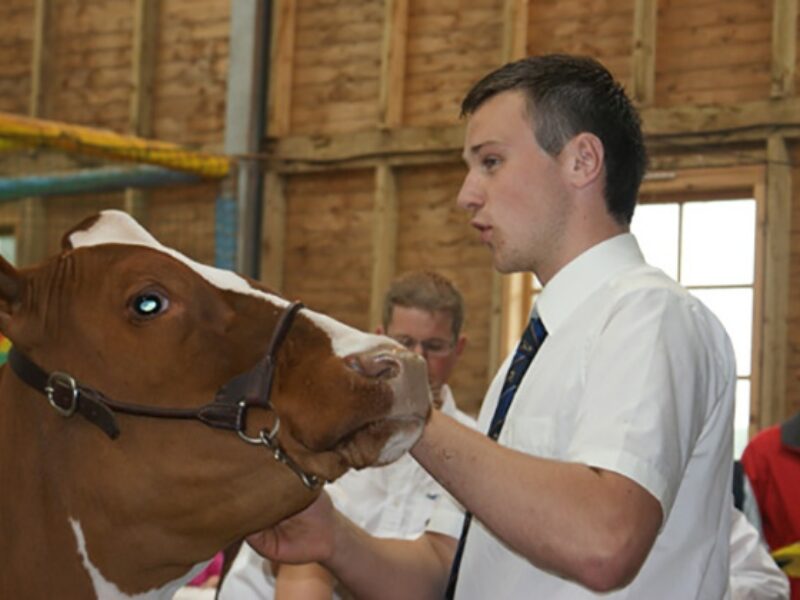 Champion Handler
