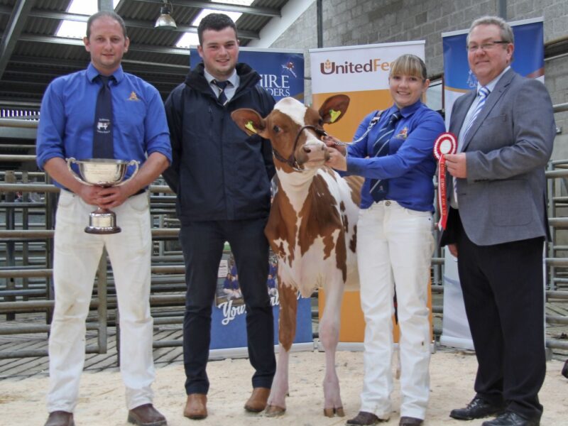 Supreme Champion - Ardmore Triclo Honesty, Michael & Claire Hunter
