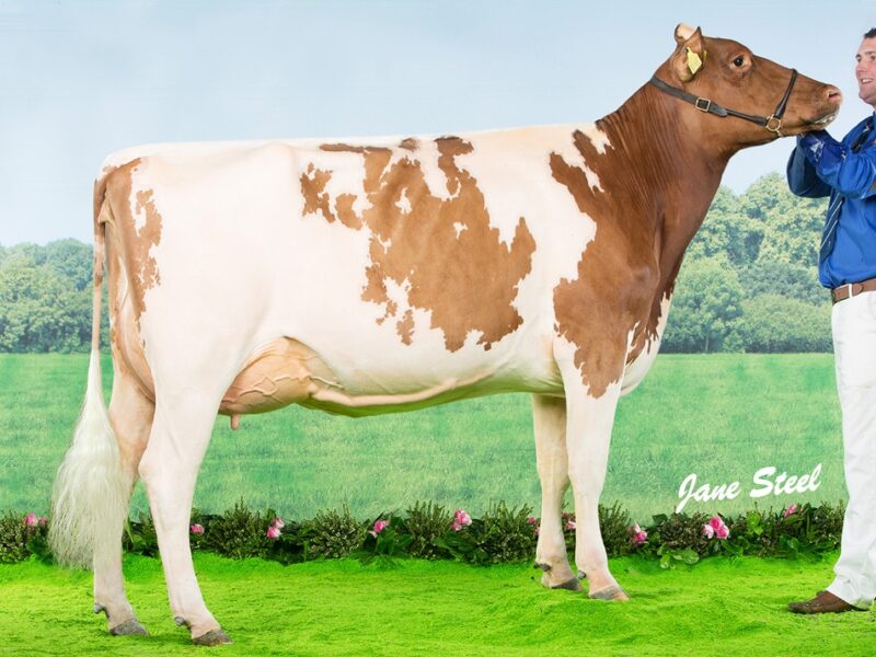 Bruchag Talent Evelyn VG 88