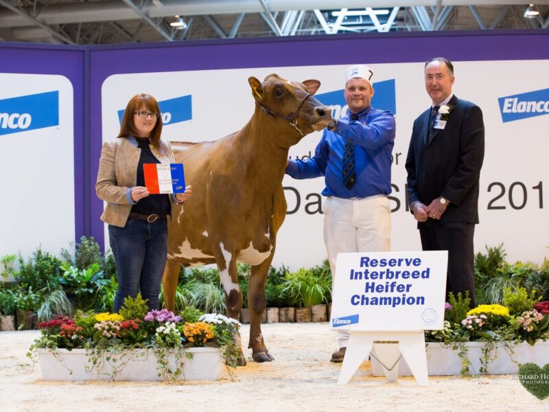Colin & Katie Davidson with Interbreed judge Ashley Fleming