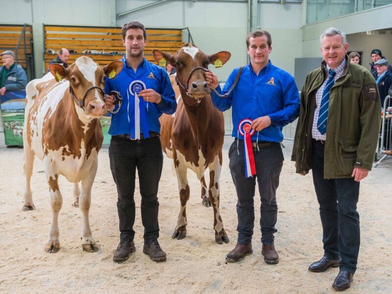 Champion & Reserve from Cuthill Towers
