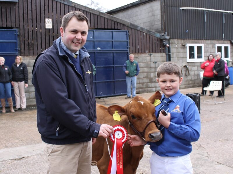 Showmanship Novice Winner - Charlie Bolderson