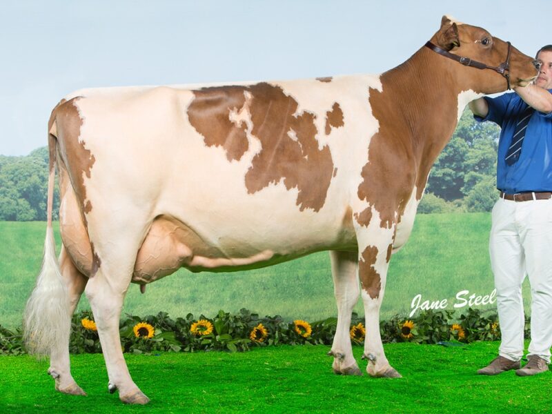 Cuthill Towers Radar Ray 13 EX 93