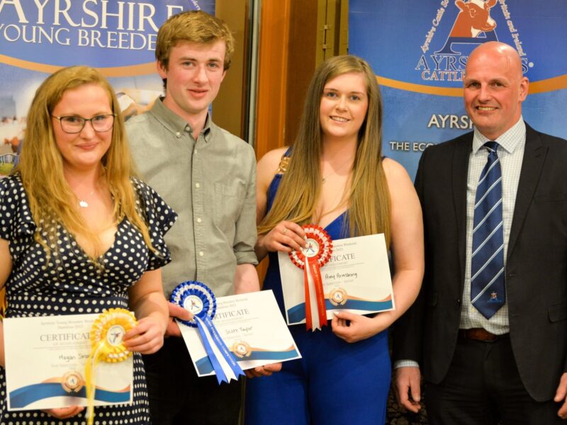 Sire Selection Seniors - 1st Amy Armstrong, 2nd Scott Taylor, 3rd Megan Stratton