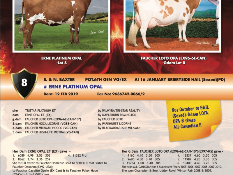 Lot 8 in the Summer Sizzler Sale Erne Platinum Opal