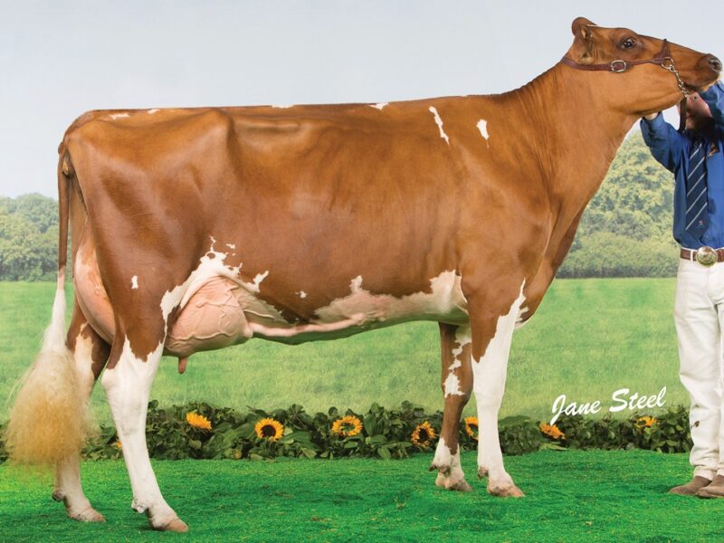 Hunnington Fragy 16 VG 89