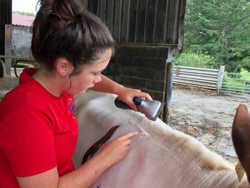 Beca doing her final clip to Gilwen Roselinda 2