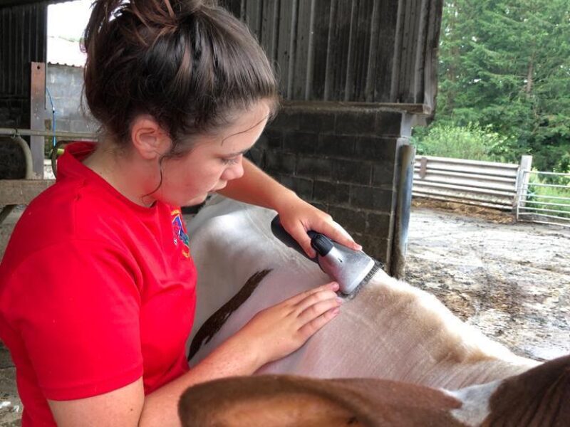 Beca doing her final clip to Gilwen Roselinda 2
