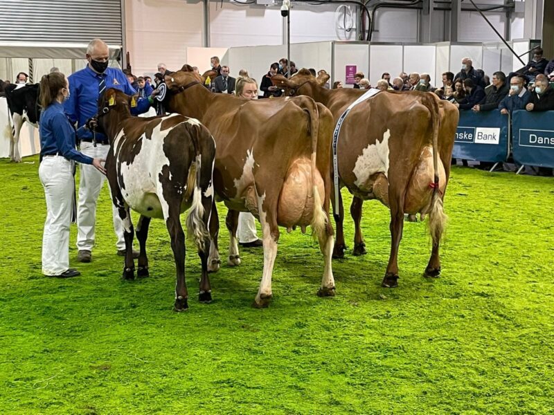 The Ayrshire Championship Line up