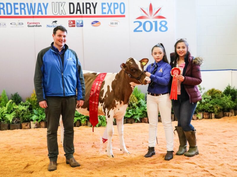 Junior Champion Stardust Supreme Queenie