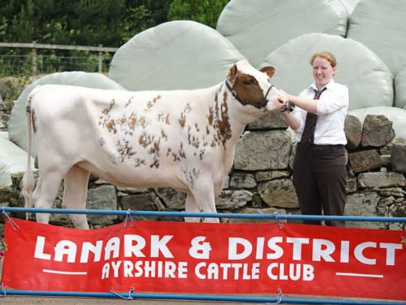 Champion Handler & First Prize Senior Handler - Gillian Rankin