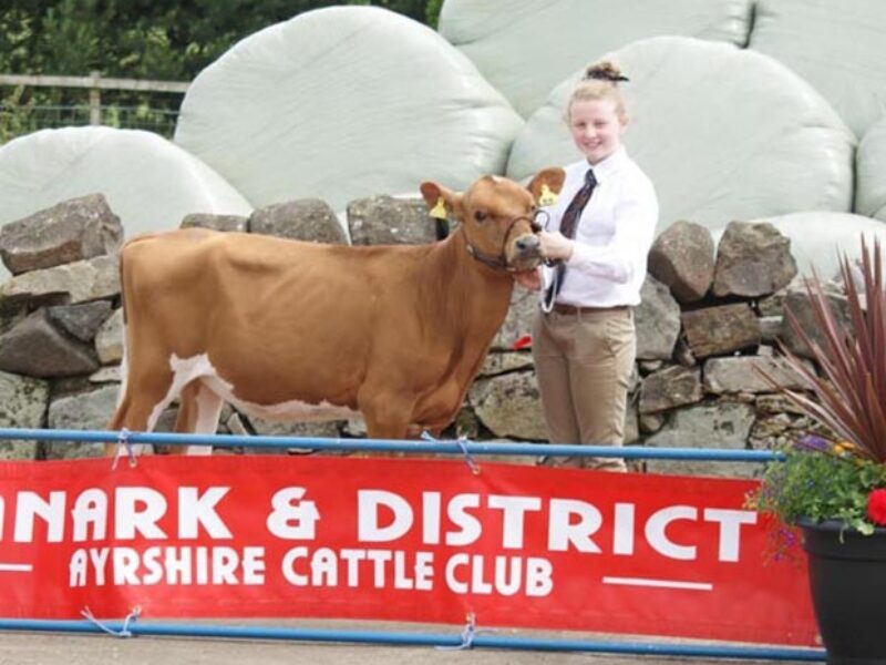 Intermediate Handler - Emma Struthers