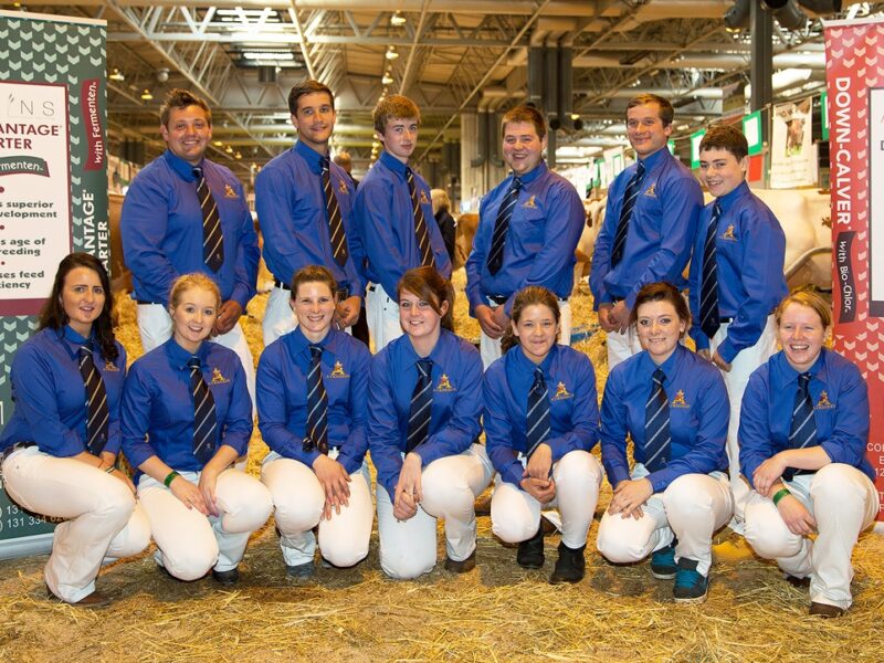 Ayrshire Young Breeders