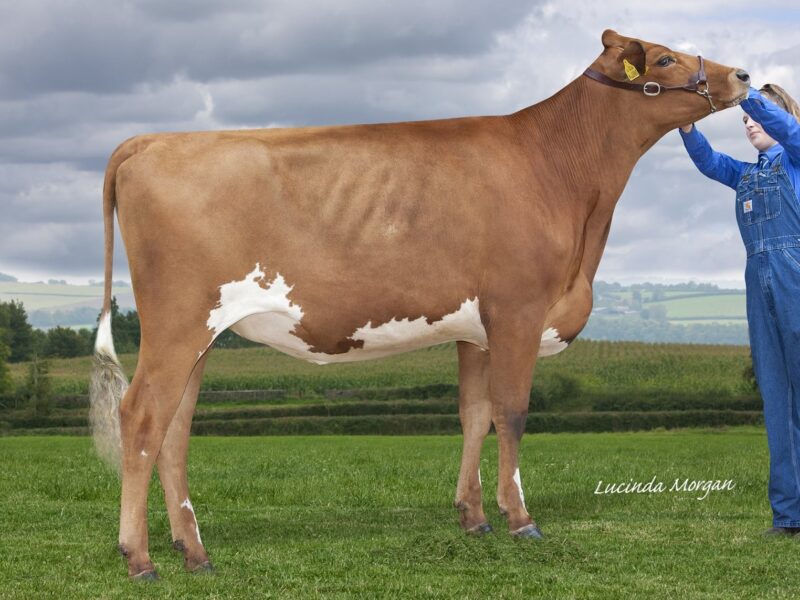 Reserve Butterbesley Lieu Hilary
