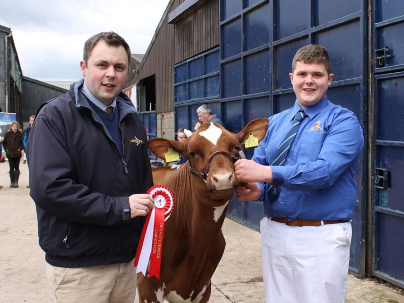 Showmanship Intermediate Winner  - Matthew McLean
