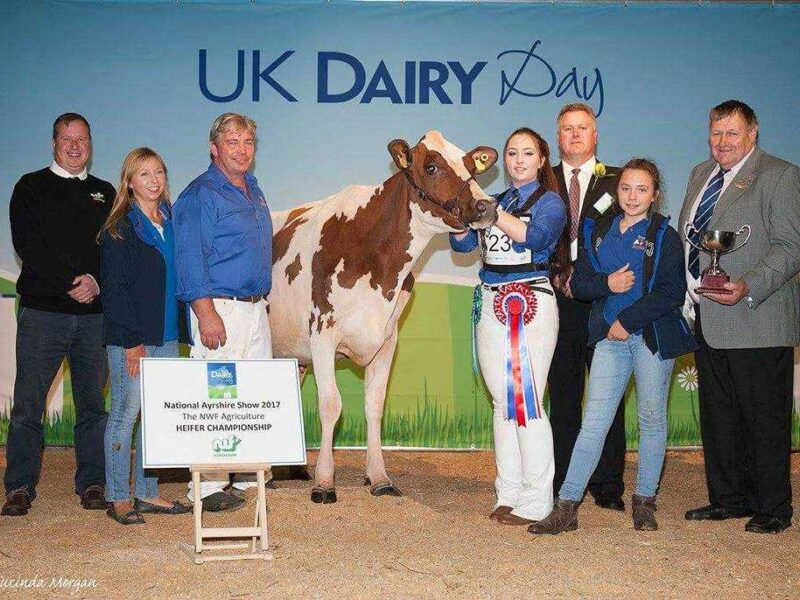 Junior Champion Sandyford Marlow Clover 6 from ET Tomlinson & Son