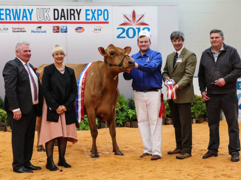 UK Dairy Expo Champion presentation
