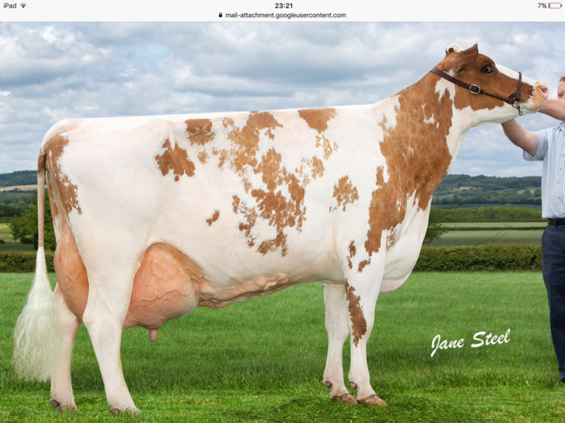 Joint Honourable Mention, Pylon Minty 12 EX95 6E