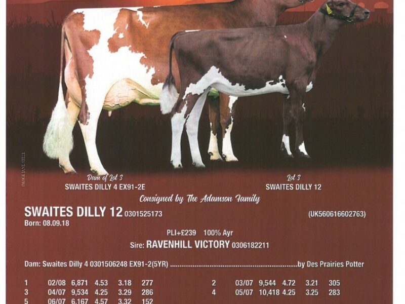 Swaites Dilly 12 Sells