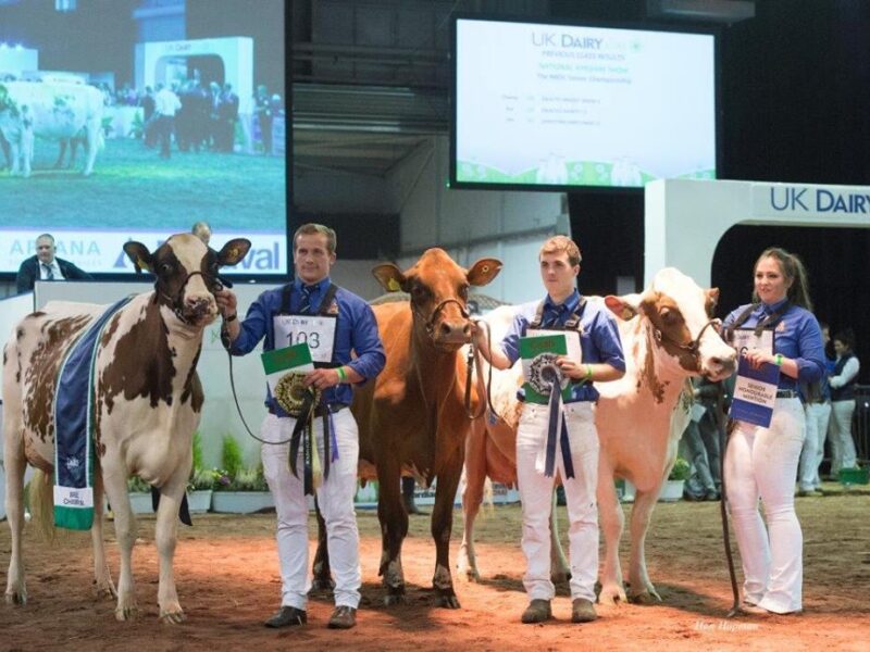 2017 National Ayrshire Show Winners