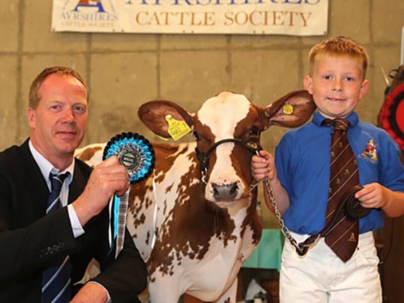 Six-year-old Cameron Carson, Ballymena, won the novice showmanship class and was honourable mention handler. He was congratulated by Peter Berresford. Picture by Jane Steel.