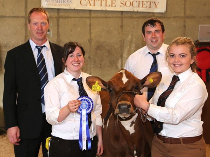 Reserve champion was Beechmount Ice Cream 3 owned by Robert and Caroline McConnell, and exhibited by Rebecca Jones. Pictured with Peter Berresford. Picture by Jane Steel.