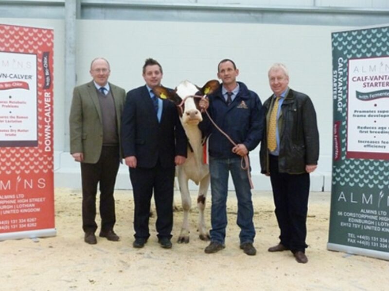Champion Photo – Left to right - Mr Alex Kirkpatrick, Mr Stuart Williams, “Smartmove Poker Loulou” with Mr Duncan Hunter and Sponsor Mr Archie Leitch.