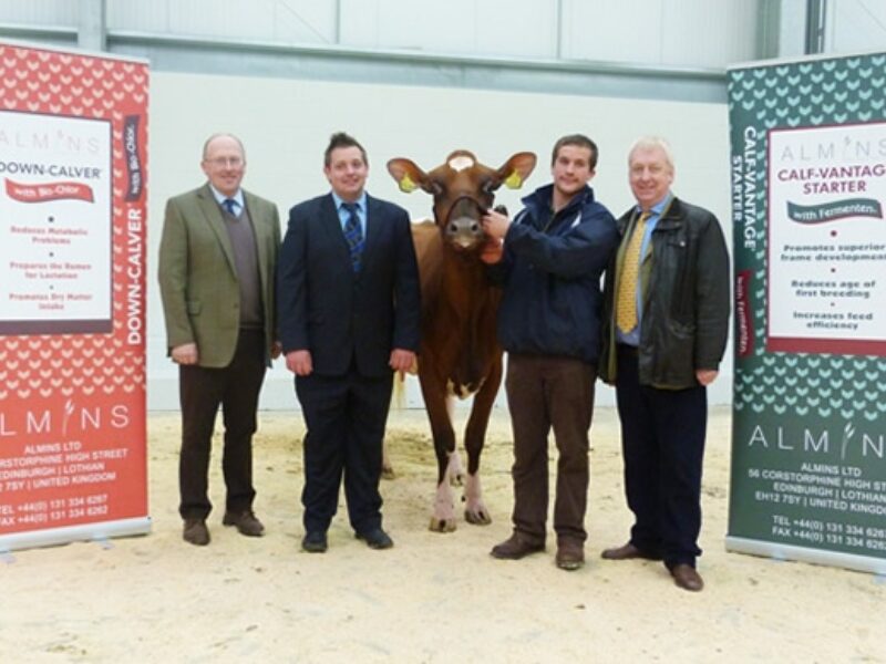 Reserve Champion – Left to right - Mr Alex Kirkpatrick, Mr Stuart Williams, “Cuthill Towers Regal Ray 11” with Mr James Lawrie and Sponsor Mr Archie Leitch.