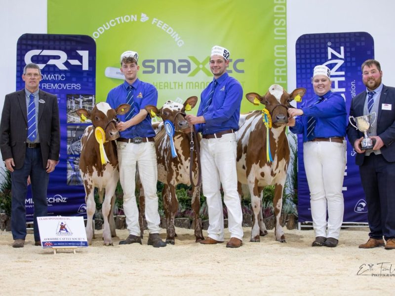 Breed Champions