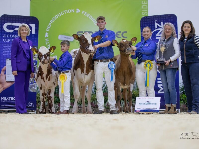 Showmanship winners