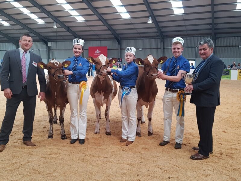 Calf Show - L to R Judge Ian Collins, Beth Granville, Millie Tomlinson, Ifan Wilson, President Keith Davidson