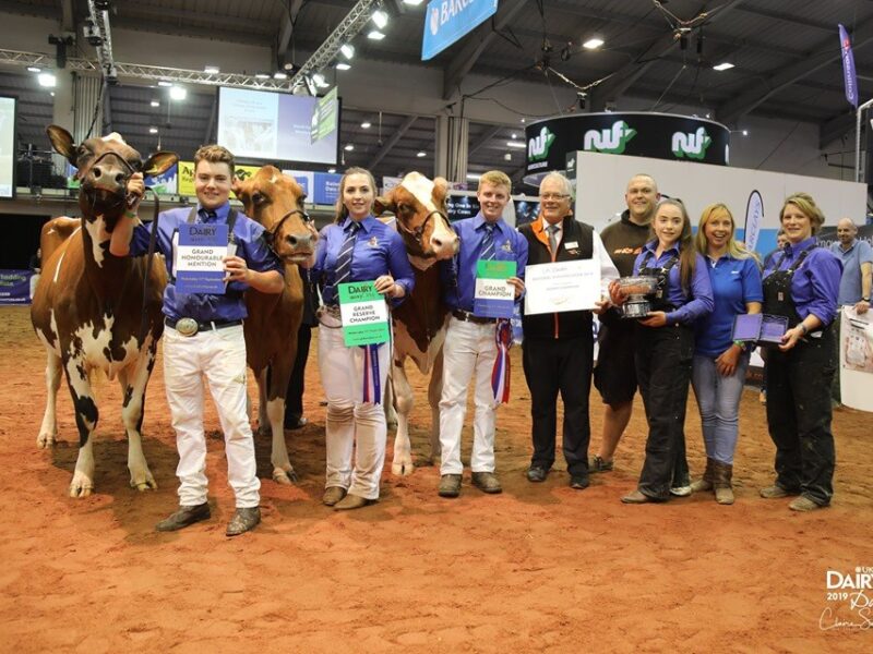 Champion Line Up