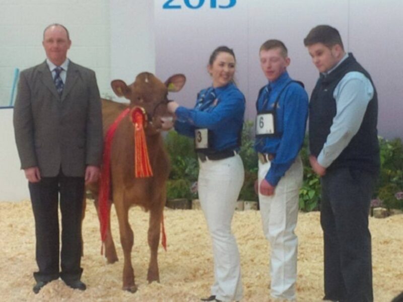 Champion - Sandyford LR Bunty (Lagace Ristourn) - A Rimmer