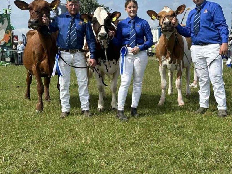 Reserve Interbreed Group of Three