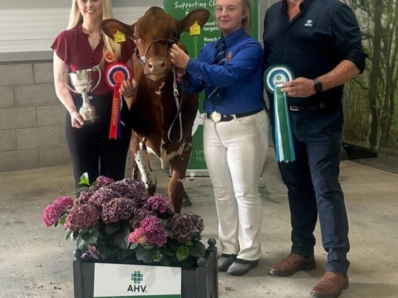 Showmanship Champion : Hollie Keenan