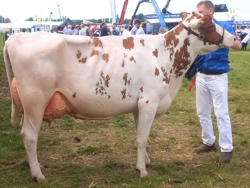 Morwick Peggy 126