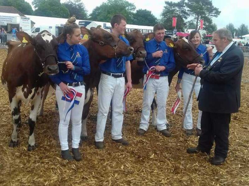 Interbreed Champion group