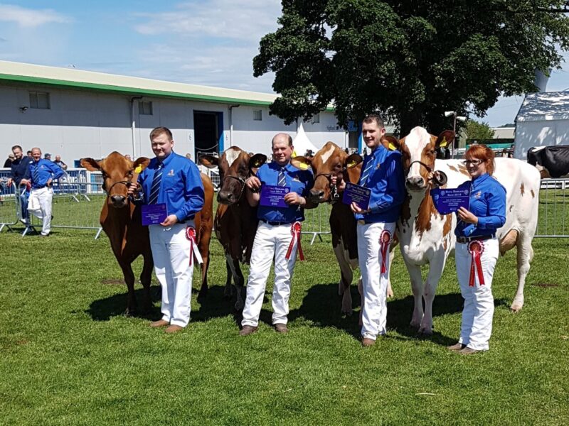 Interbreed Team winners