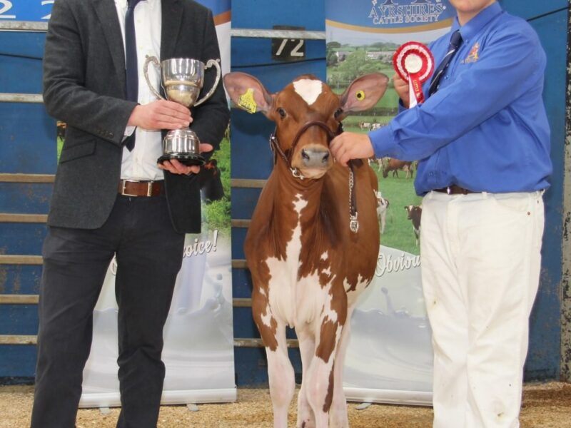 Jack King - Intermediate and overall champion handler