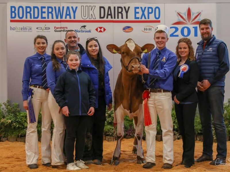 Junior Champion - Sandyford Triclo Fable