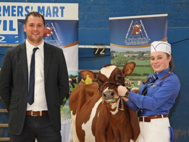 Katie Gordon - Honourable mention handler