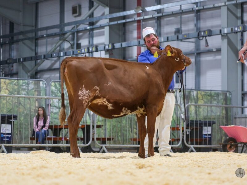 Priestland Autograph Clover