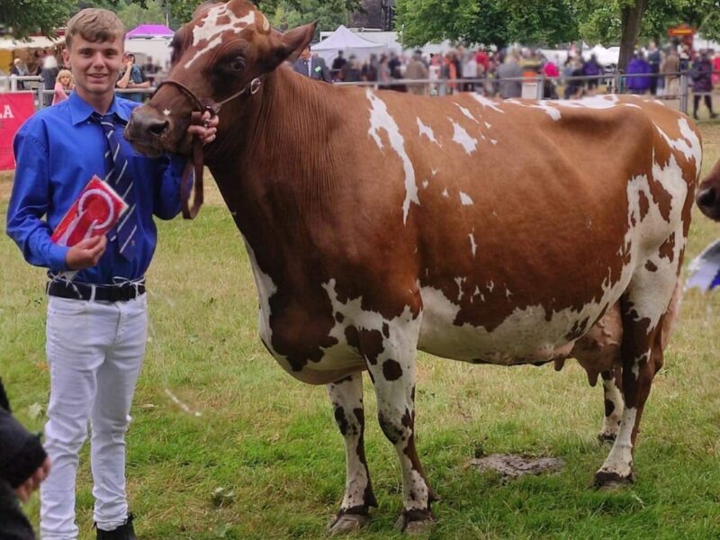 Champion AODB - Wigboro Wick Burdette Poker