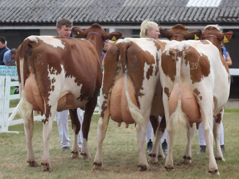 Winning group from R Danforth