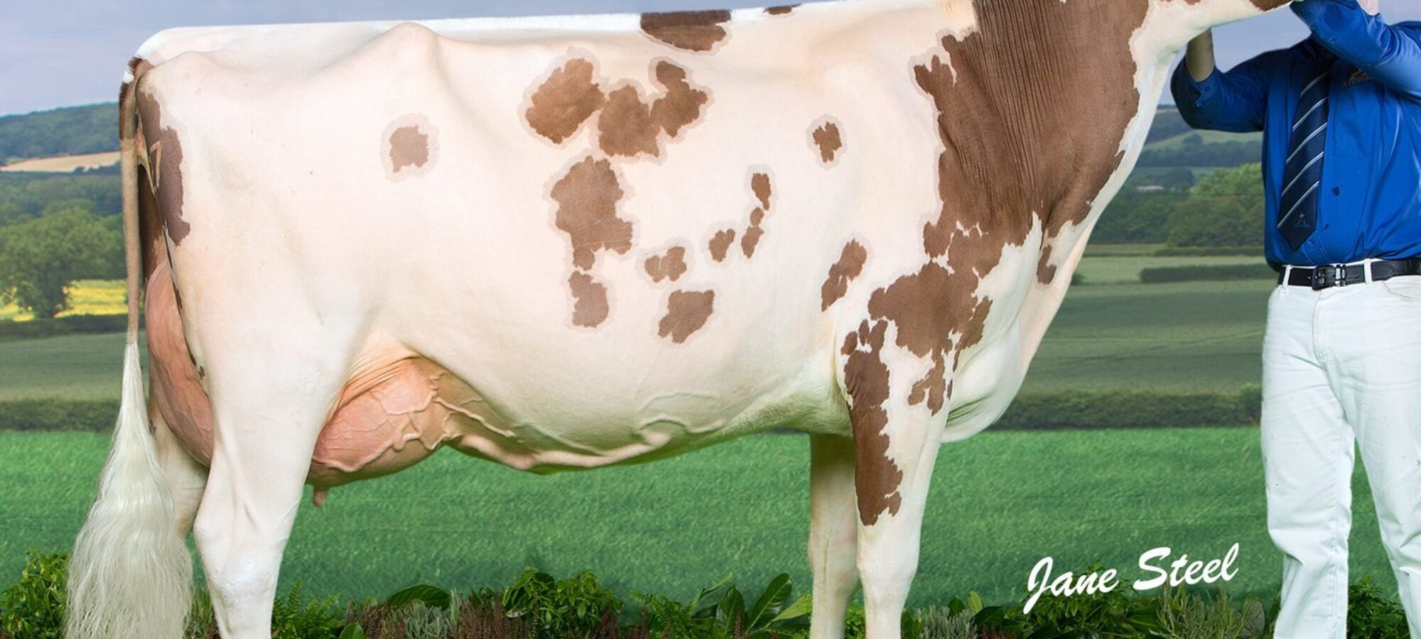 Syke Glencairn Lolita sired by Ardmore Crown Napier
