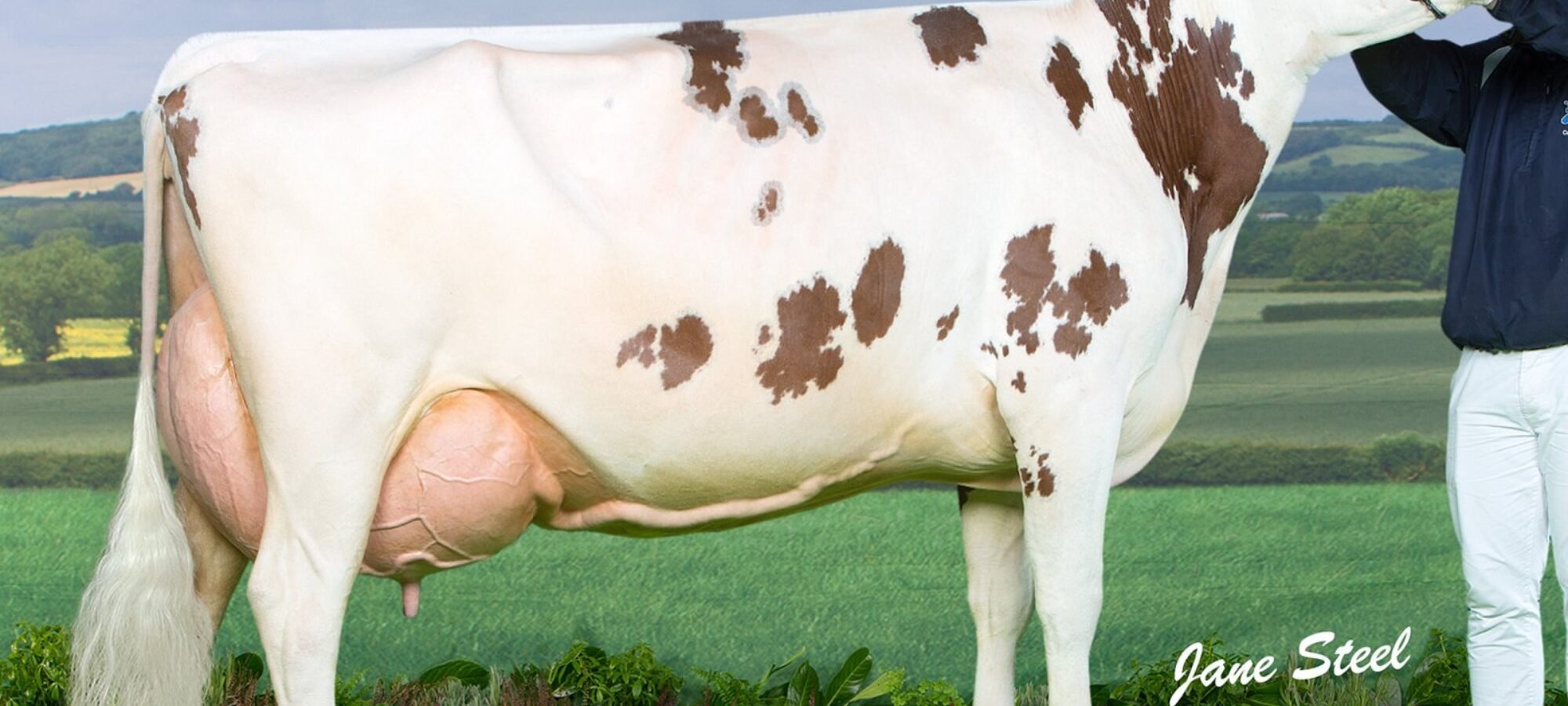 Pictured is the 2016 Agriscot Champion Cuthill Towers Crown Ray